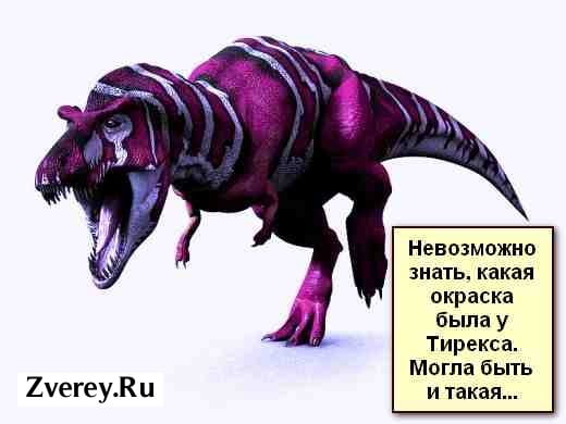 Так мог выглядеть тирекс Внешность тирекса